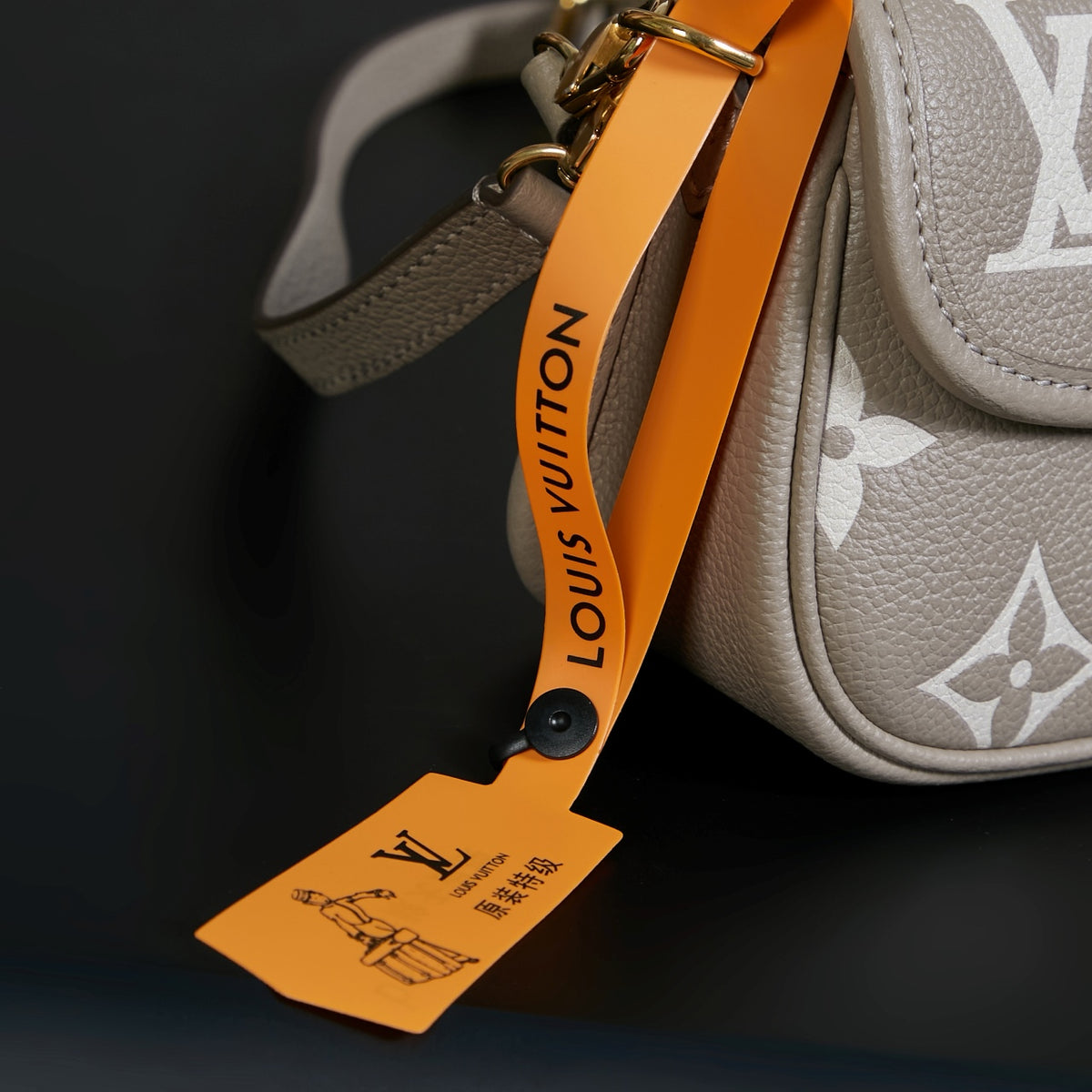 LV Nano Diane