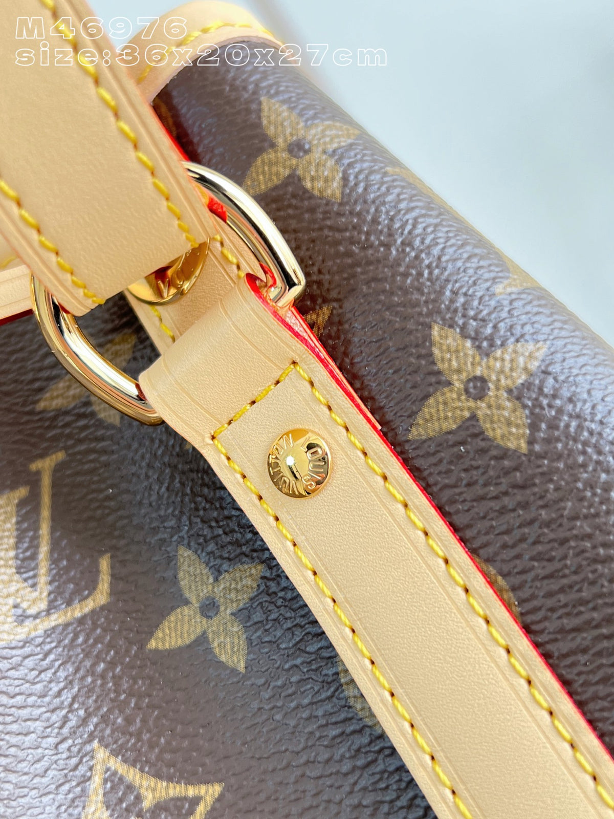 LV Noé（M46976）