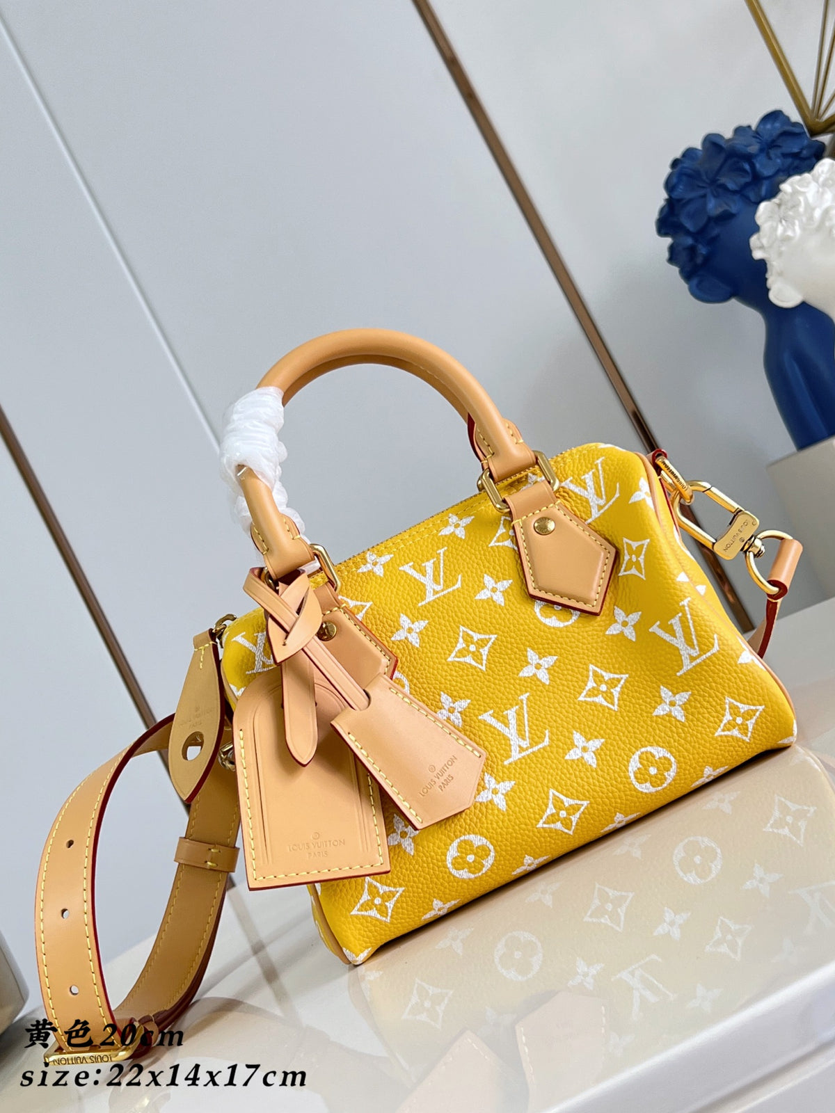 LV Speedy P9 Bandoulière 20