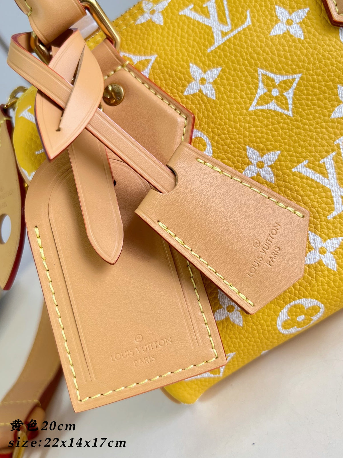 LV Speedy P9 Bandoulière 20