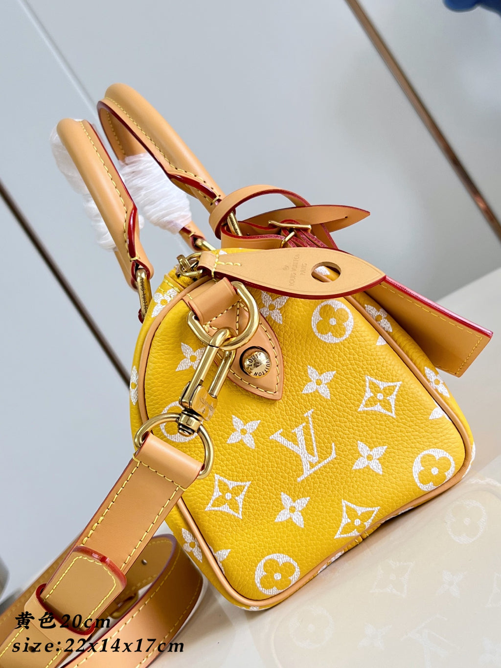LV Speedy P9 Bandoulière 20