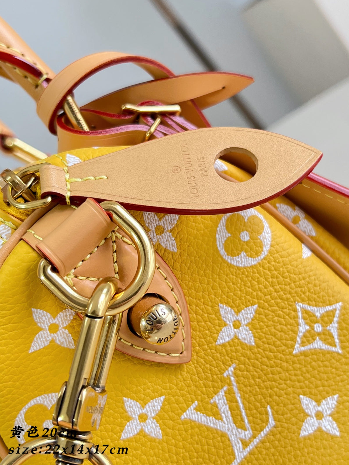 LV Speedy P9 Bandoulière 20