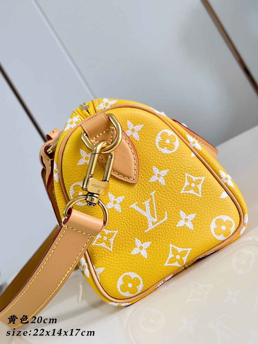 LV Speedy P9 Bandoulière 20