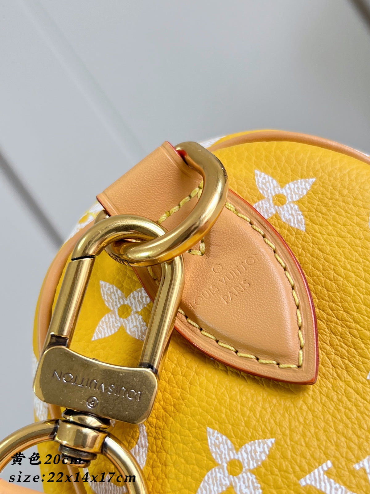 LV Speedy P9 Bandoulière 20