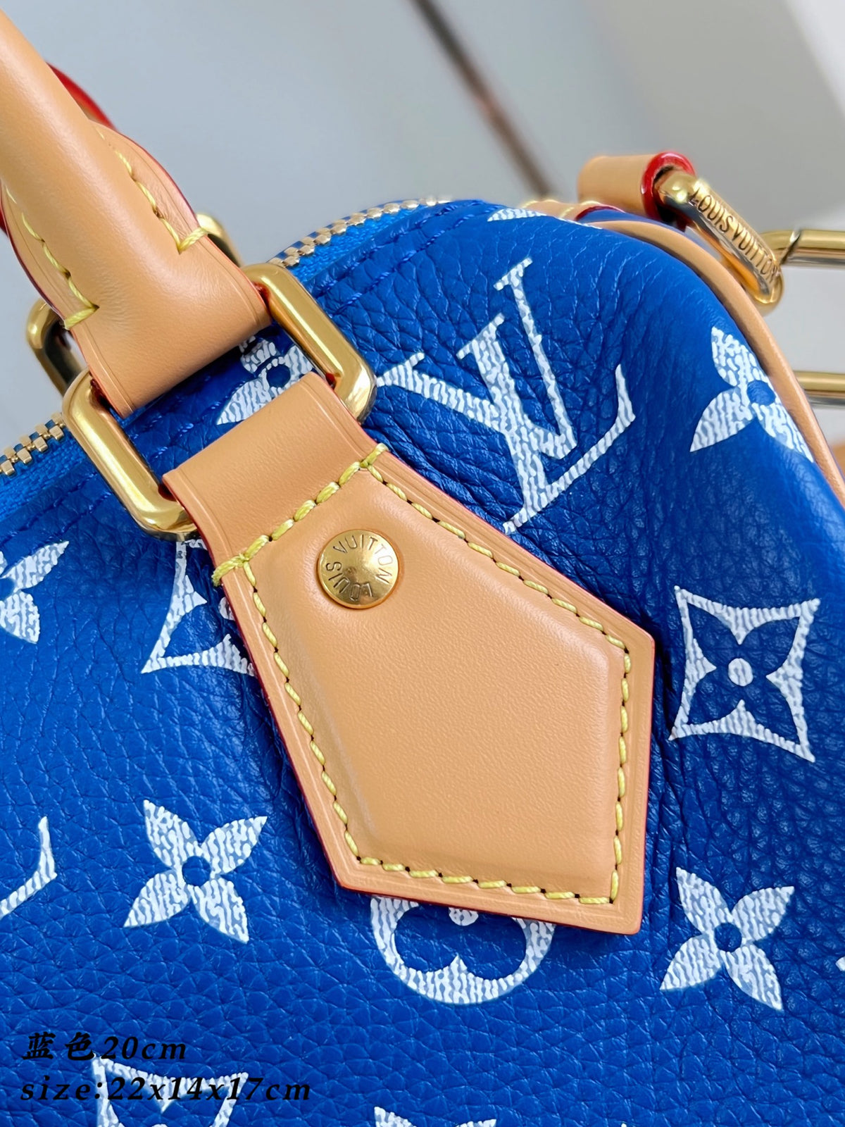LV Speedy P9 Bandoulière 20
