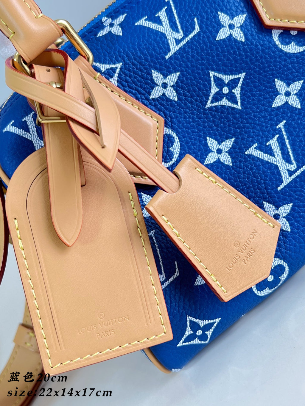 LV Speedy P9 Bandoulière 20