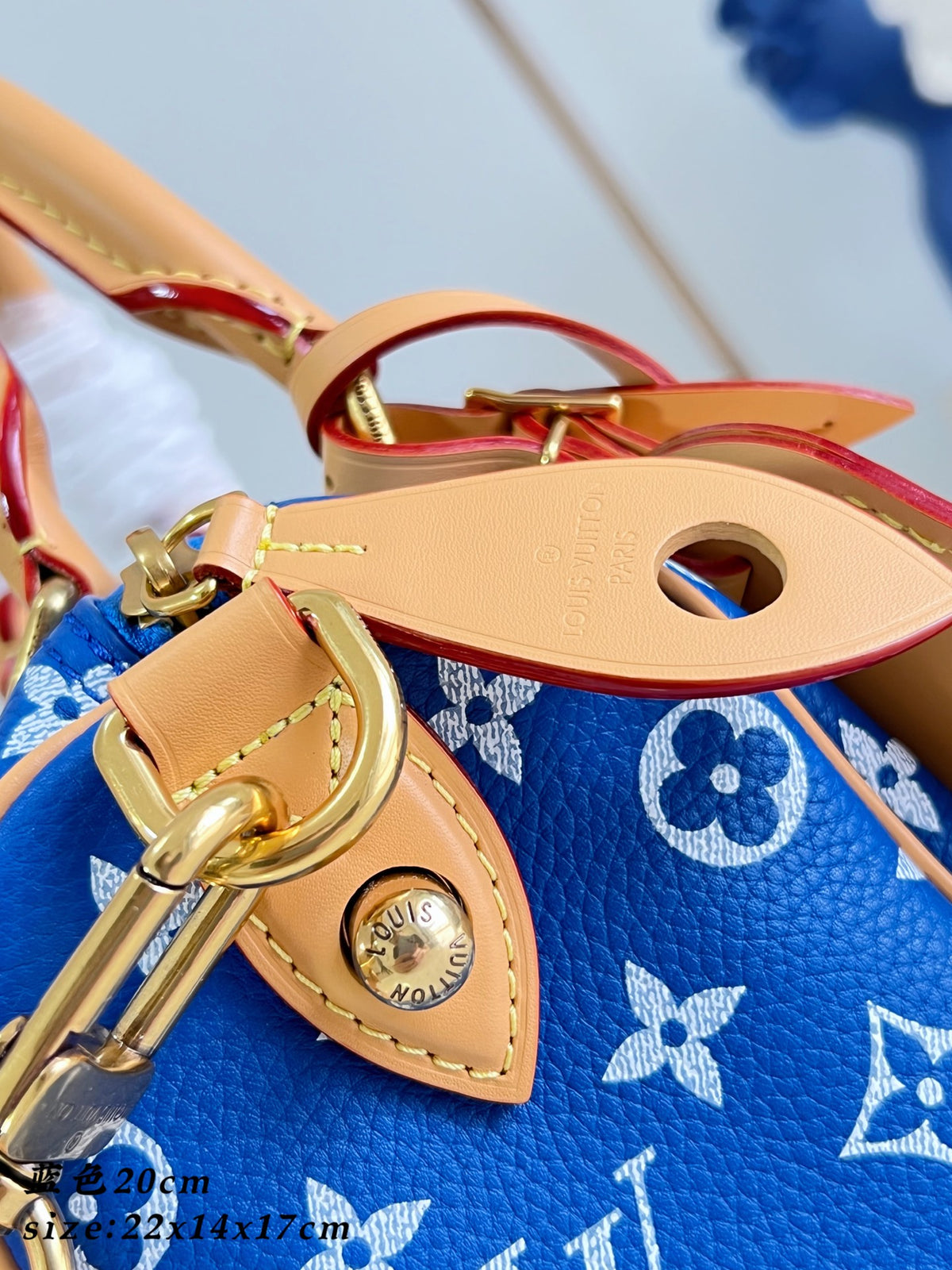 LV Speedy P9 Bandoulière 20