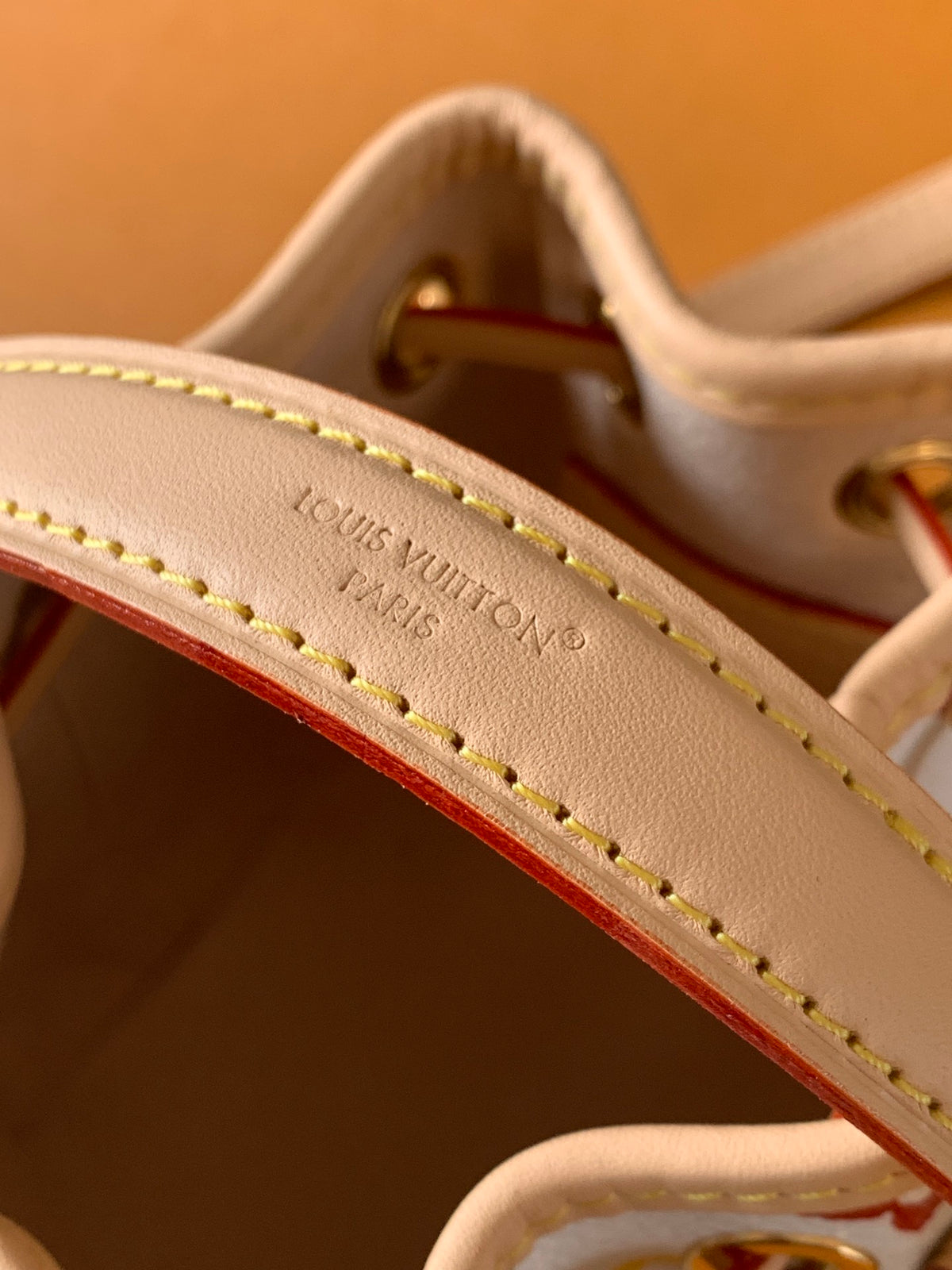 LV x TM Nano Noé（M27789）