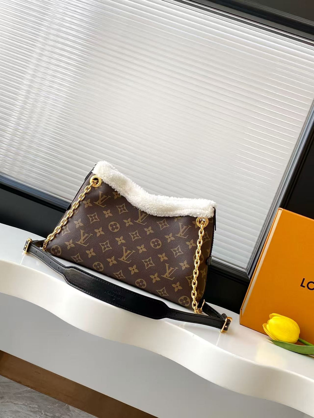 M26568	LV Ski CarryAll BB