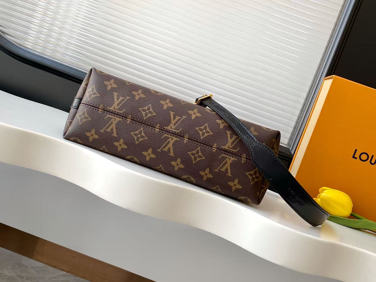 M26568	LV Ski CarryAll BB