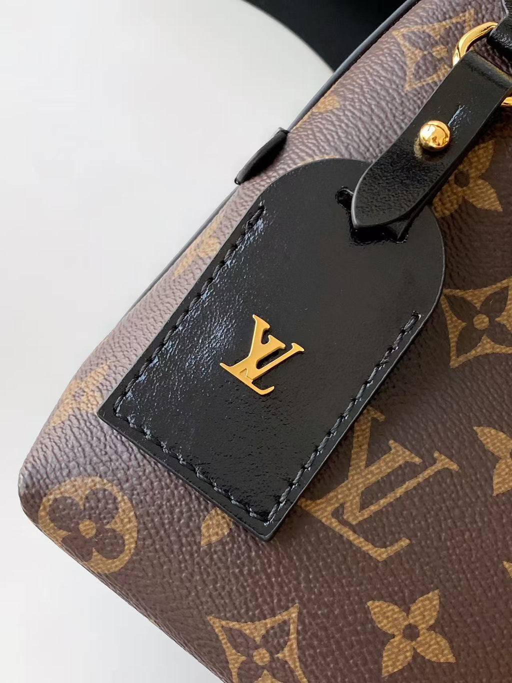 M26568	LV Ski CarryAll BB