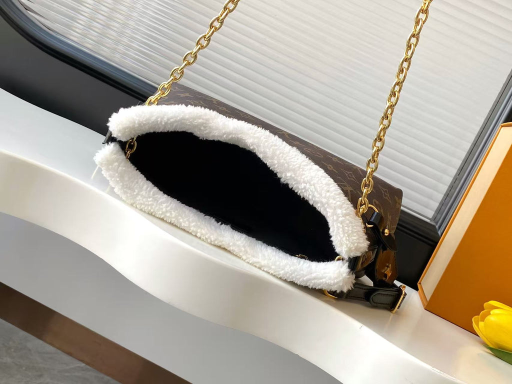M26568	LV Ski CarryAll BB