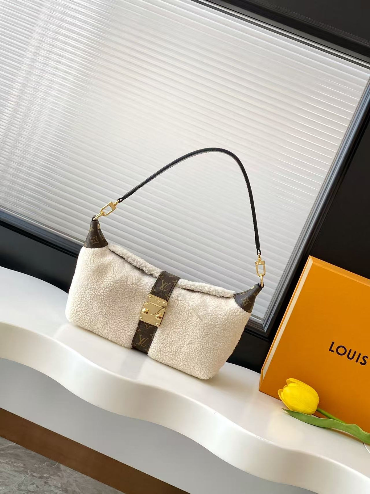 M26245	LV Ski Pochette Mia