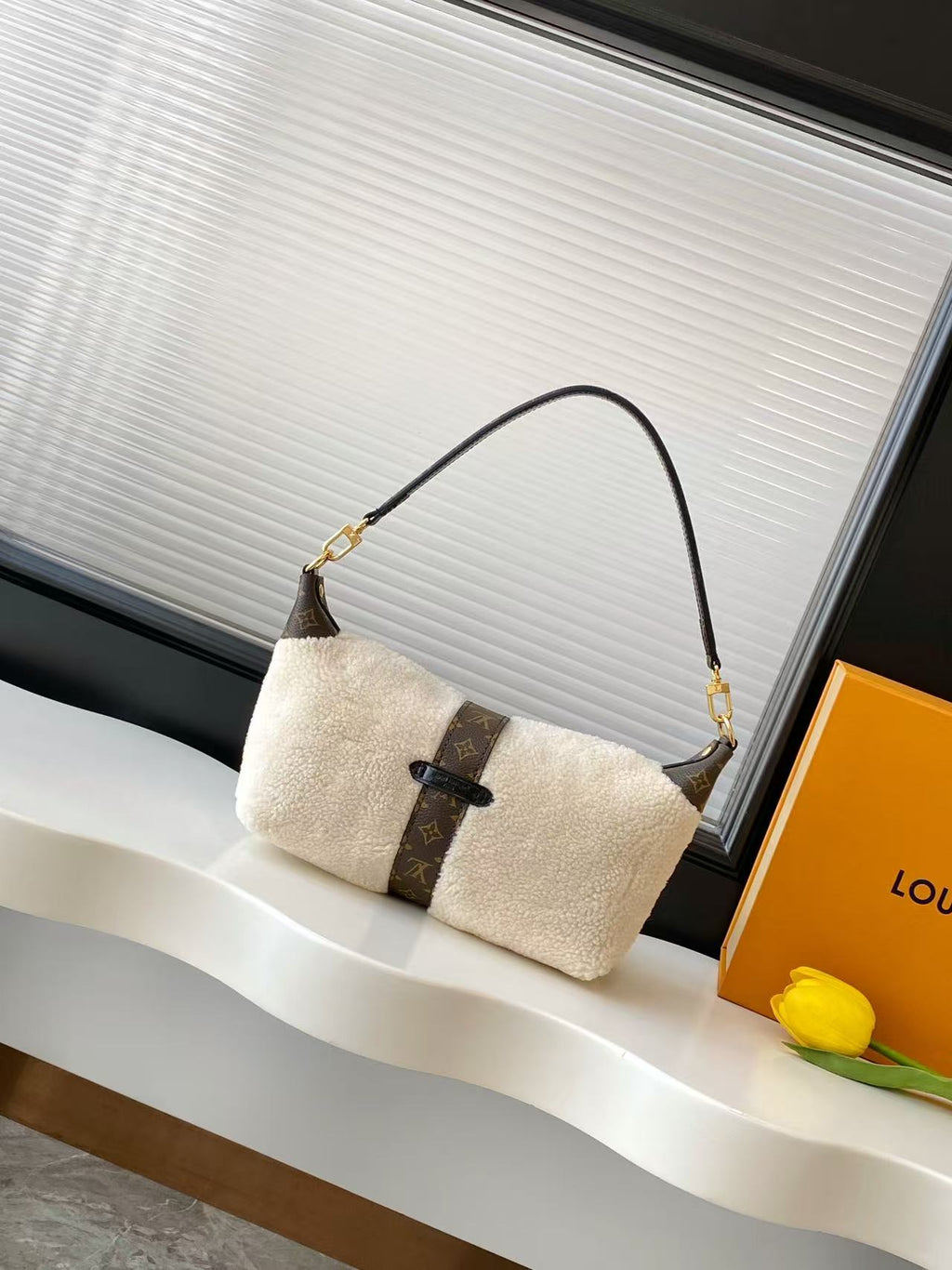 M26245	LV Ski Pochette Mia