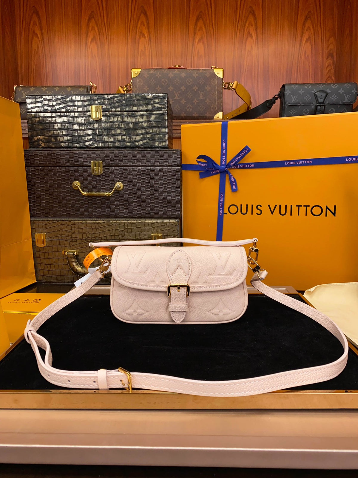 M83566	LV Nano Diane