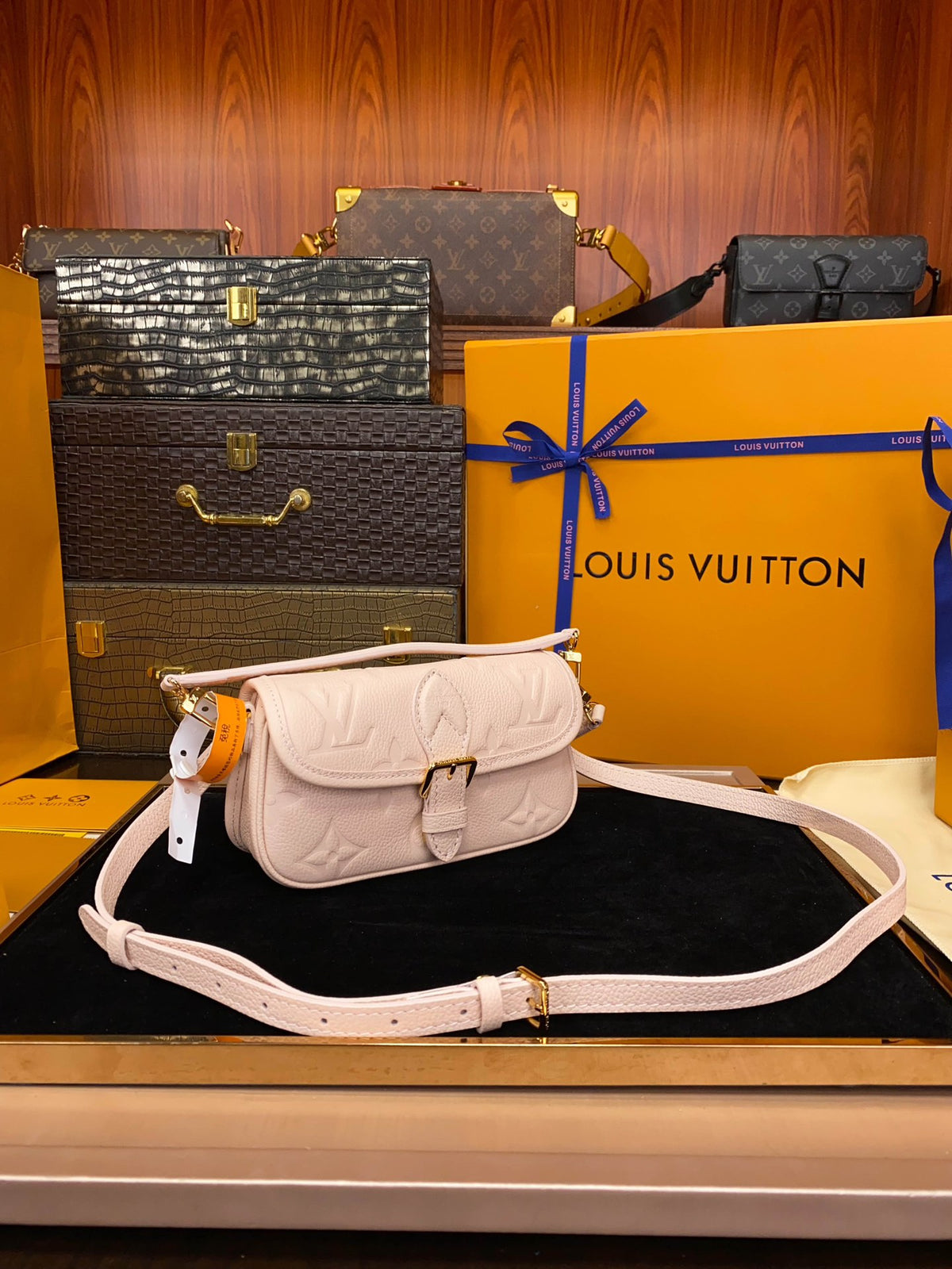 M83566	LV Nano Diane