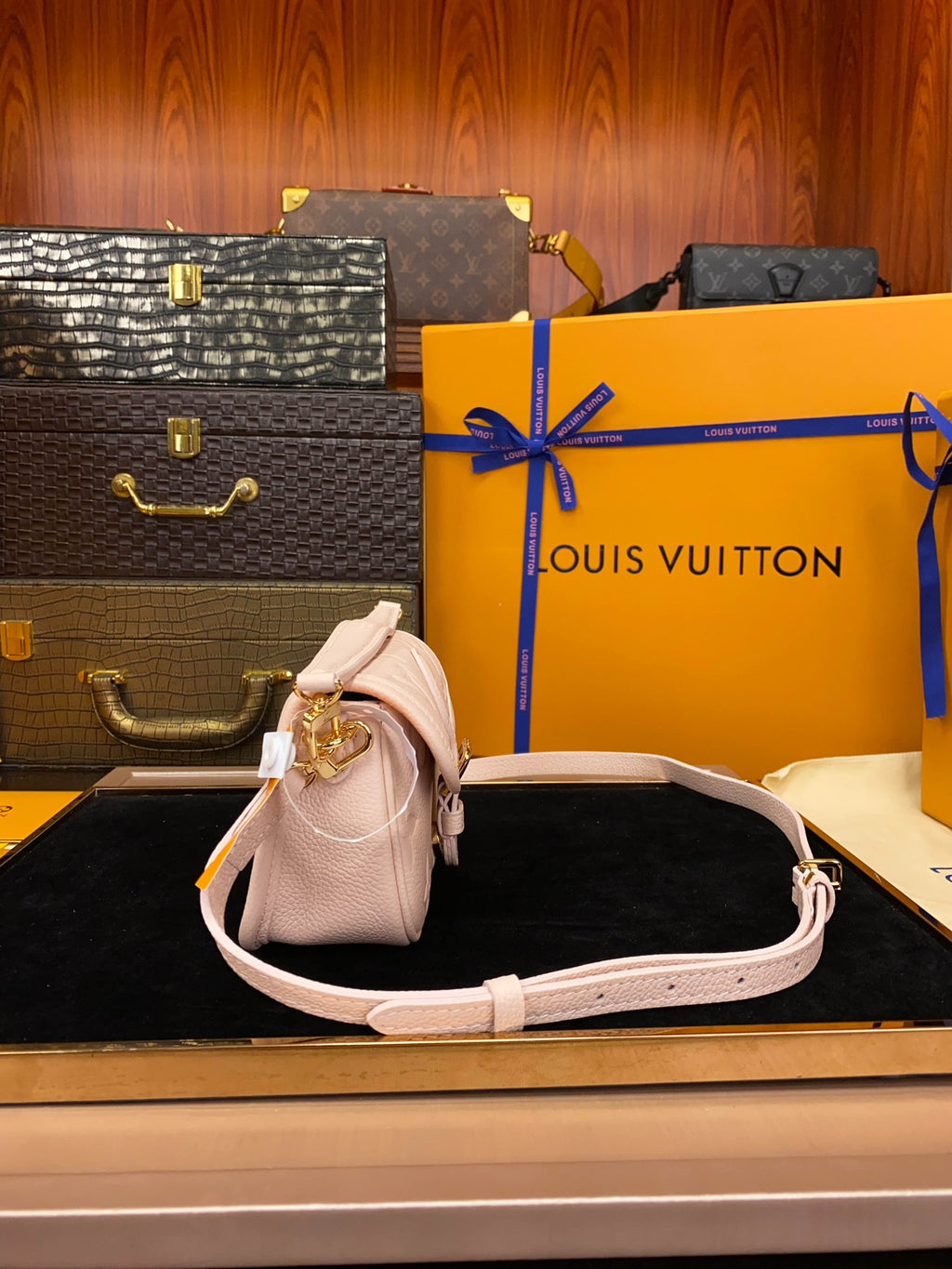 M83566	LV Nano Diane