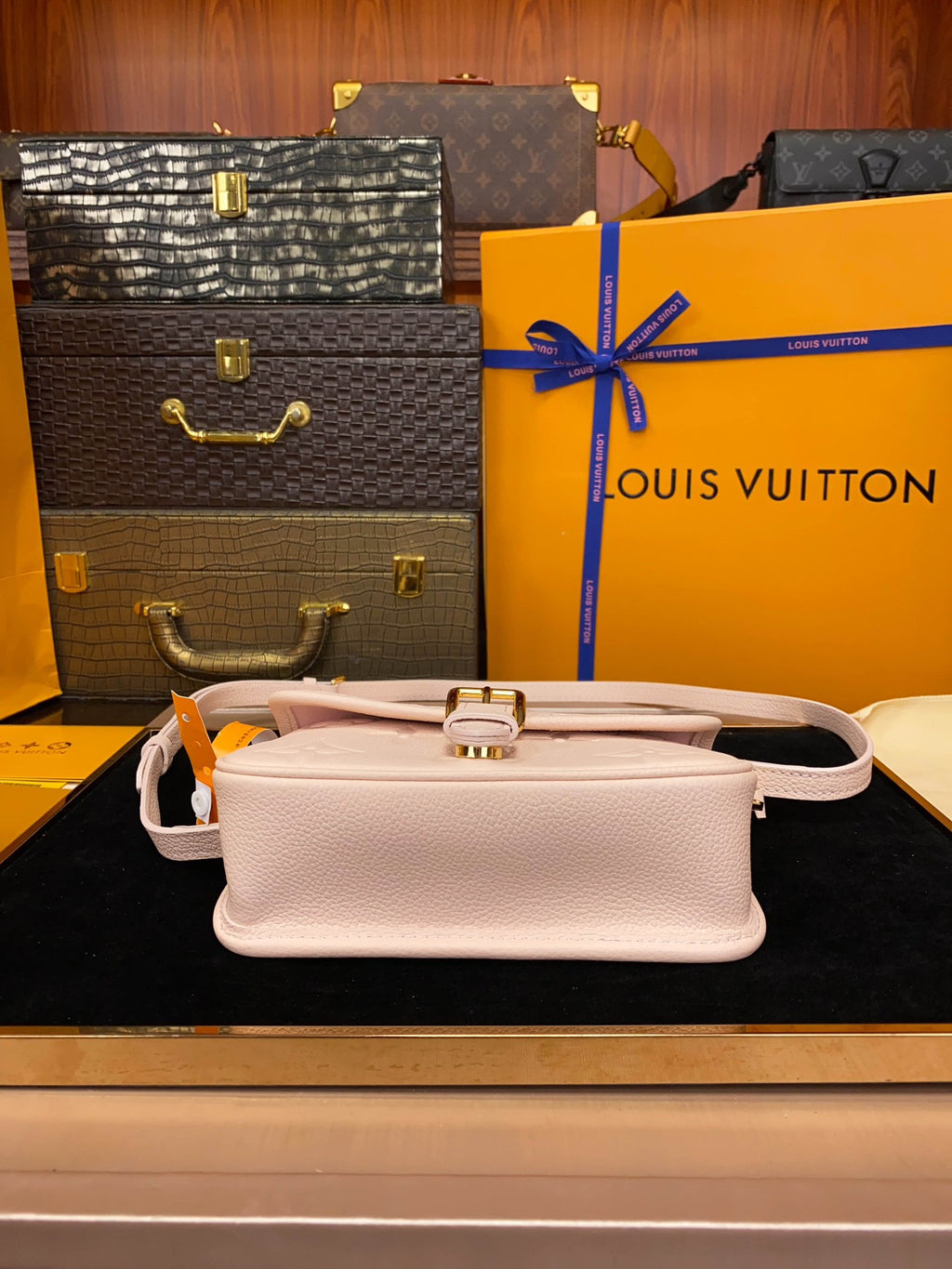 M83566	LV Nano Diane