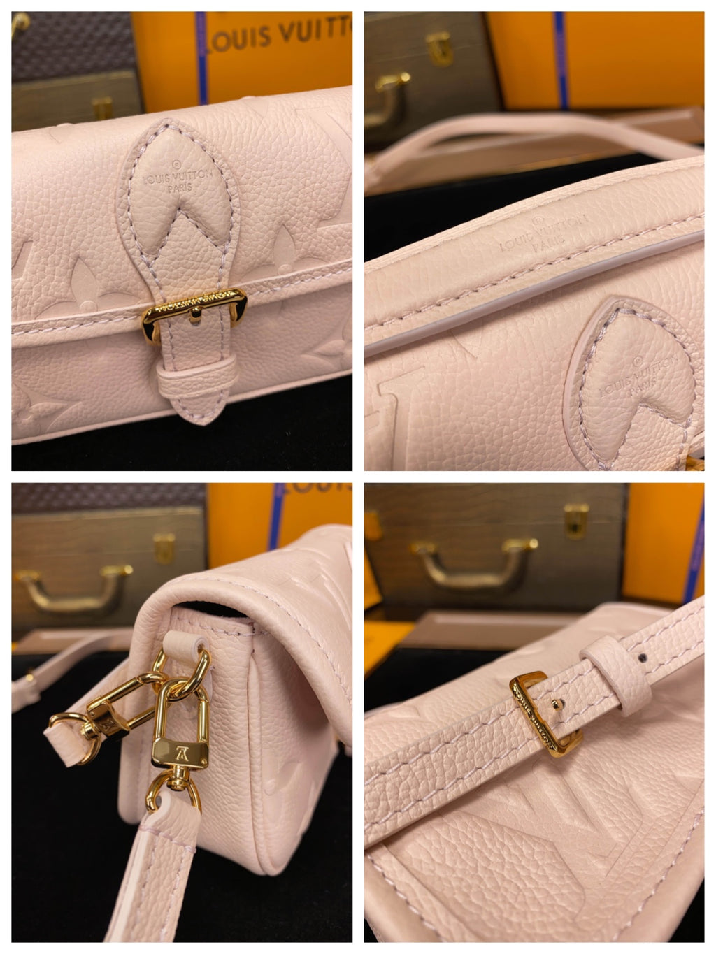 M83566	LV Nano Diane