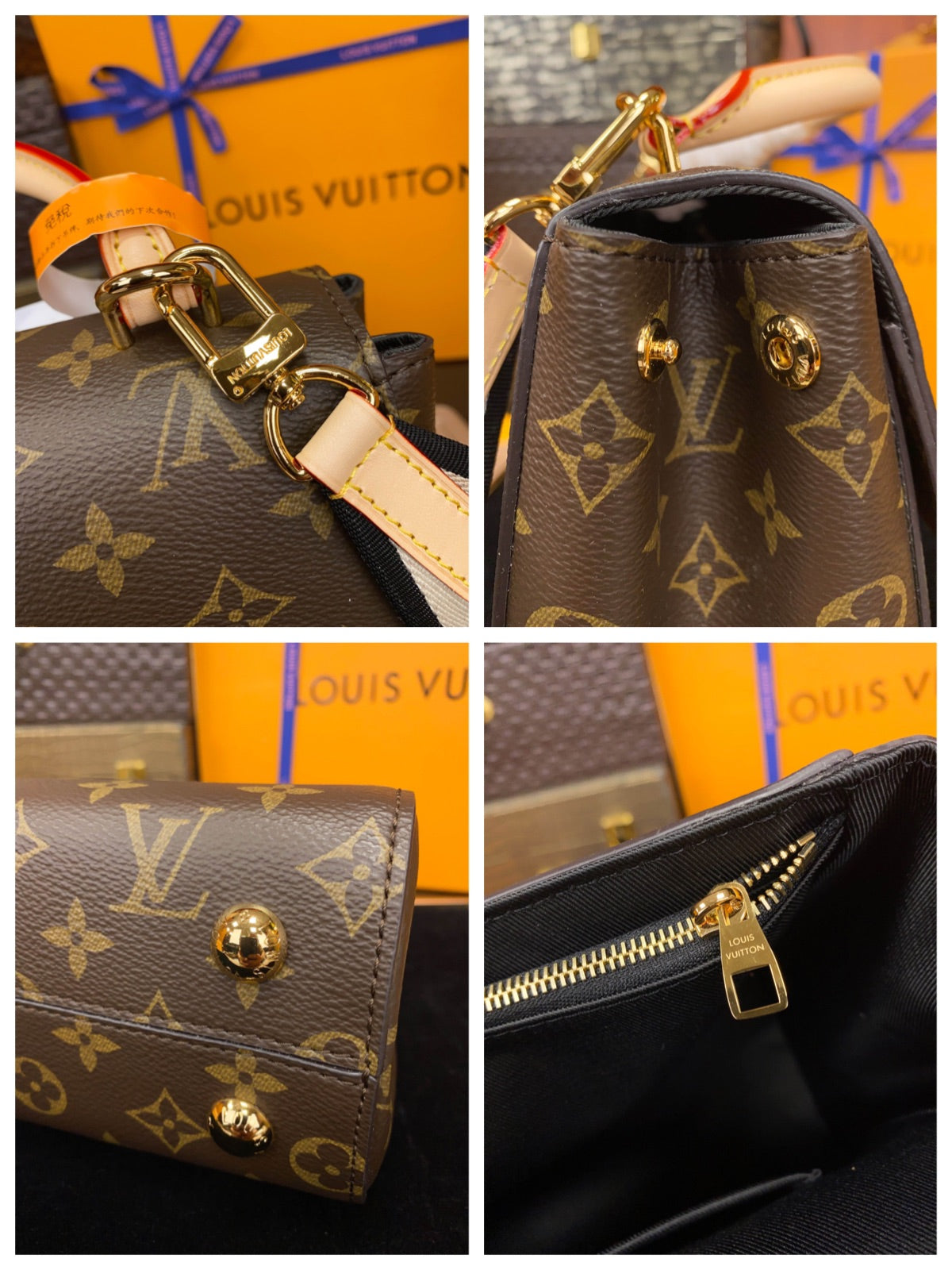 M46372	LV Cluny BB