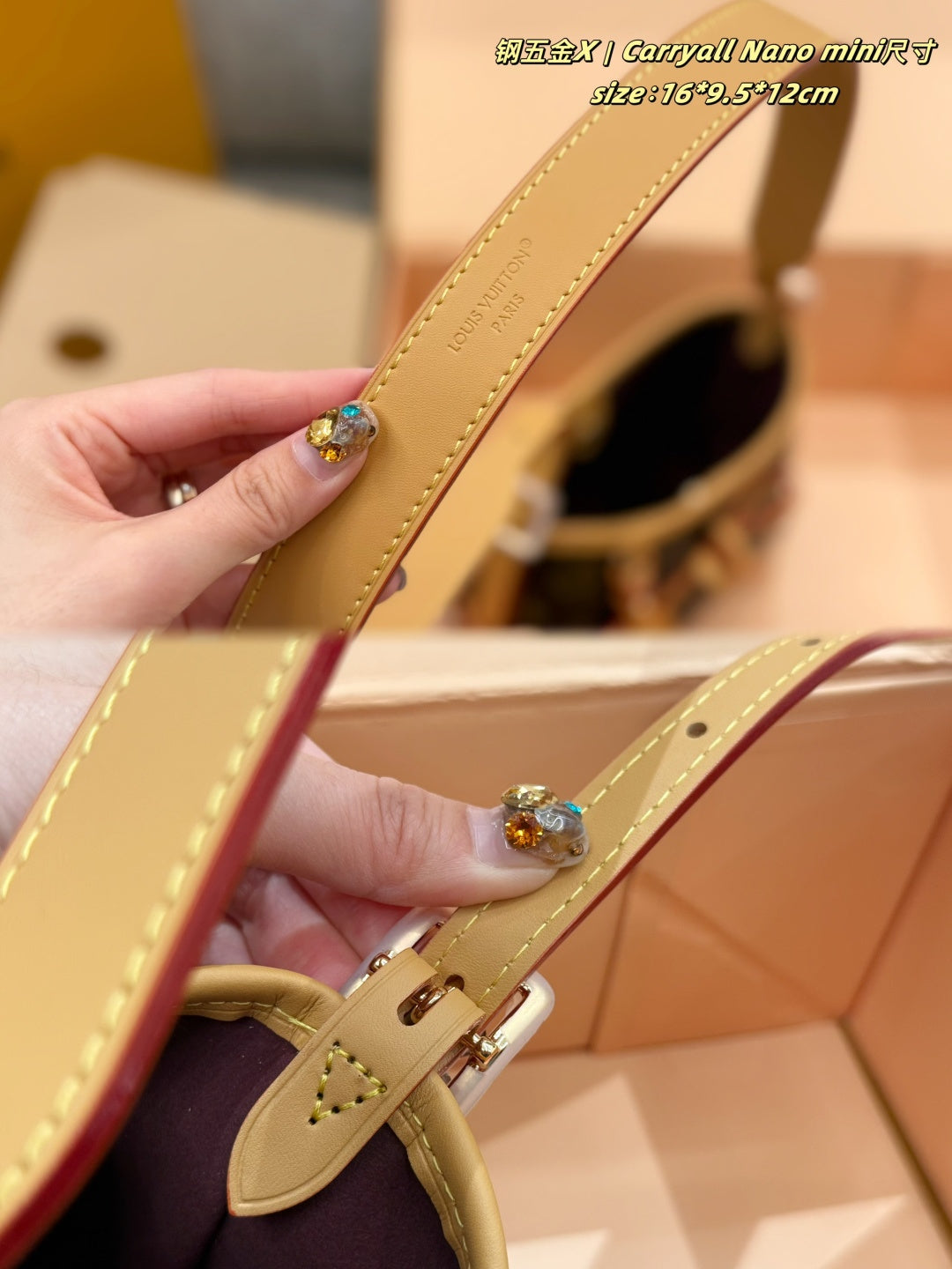 M2A711|LV Nano CarryAll
