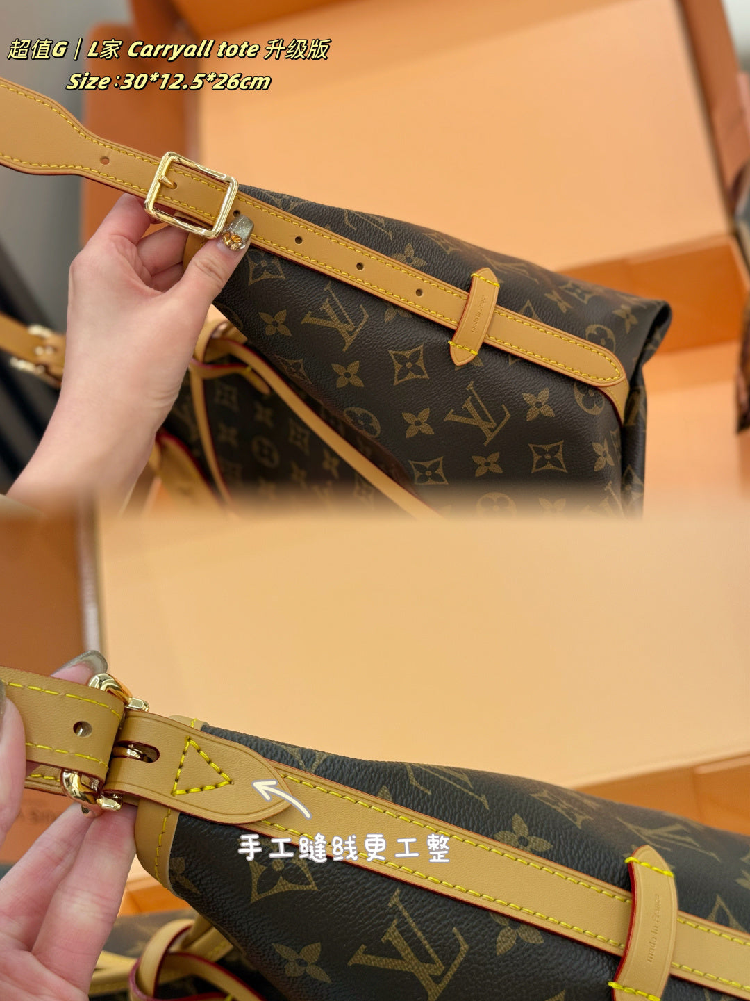 M46288|LV Carryall PM