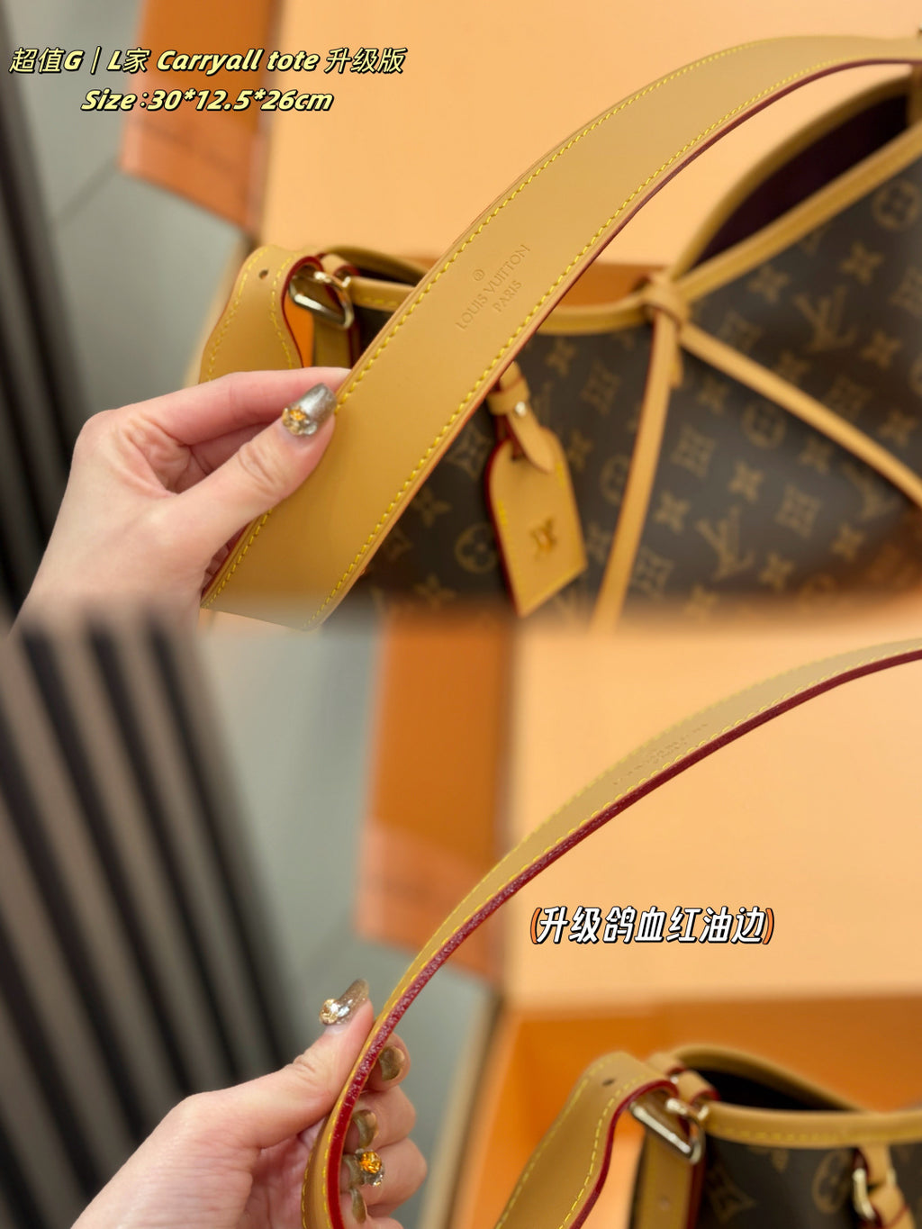 M46288|LV Carryall PM