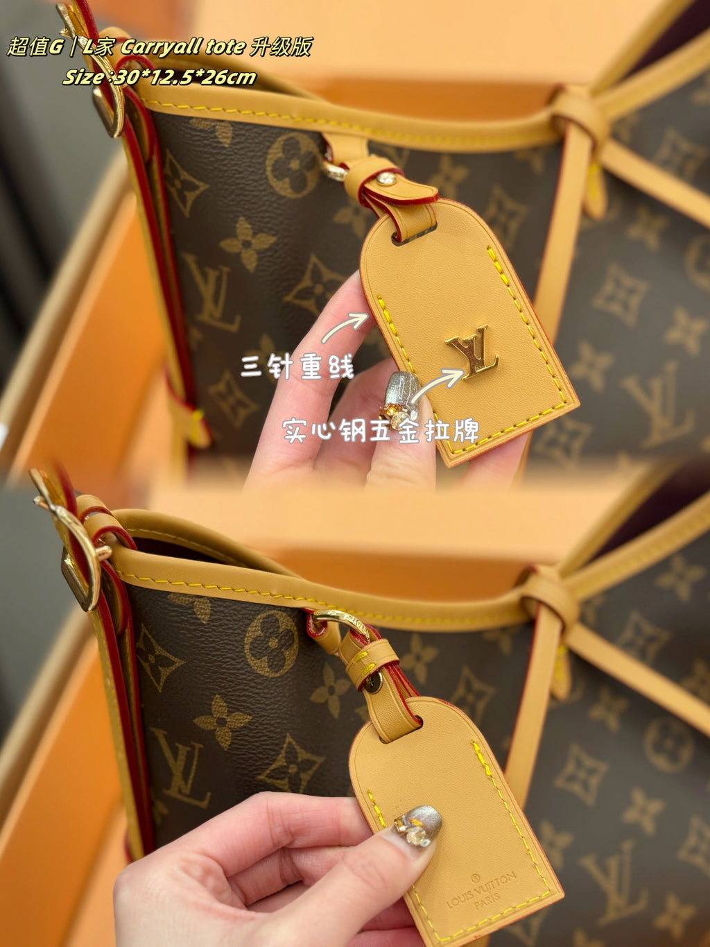 M46288|LV Carryall PM