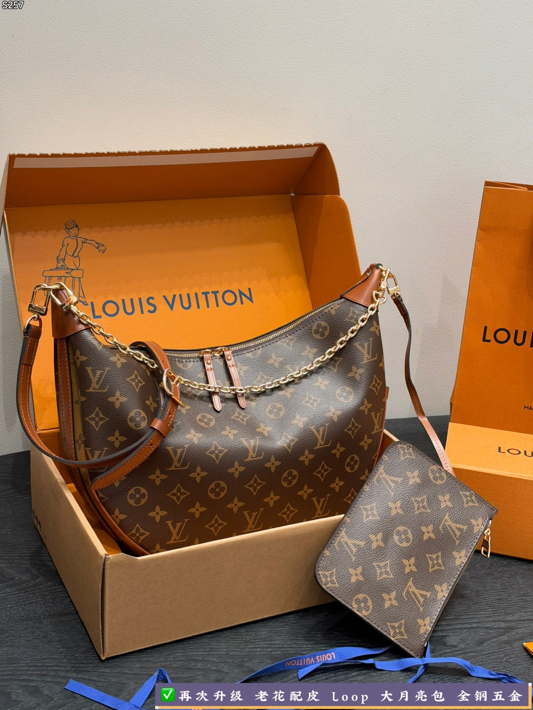 M46311|LV Loop Hobo