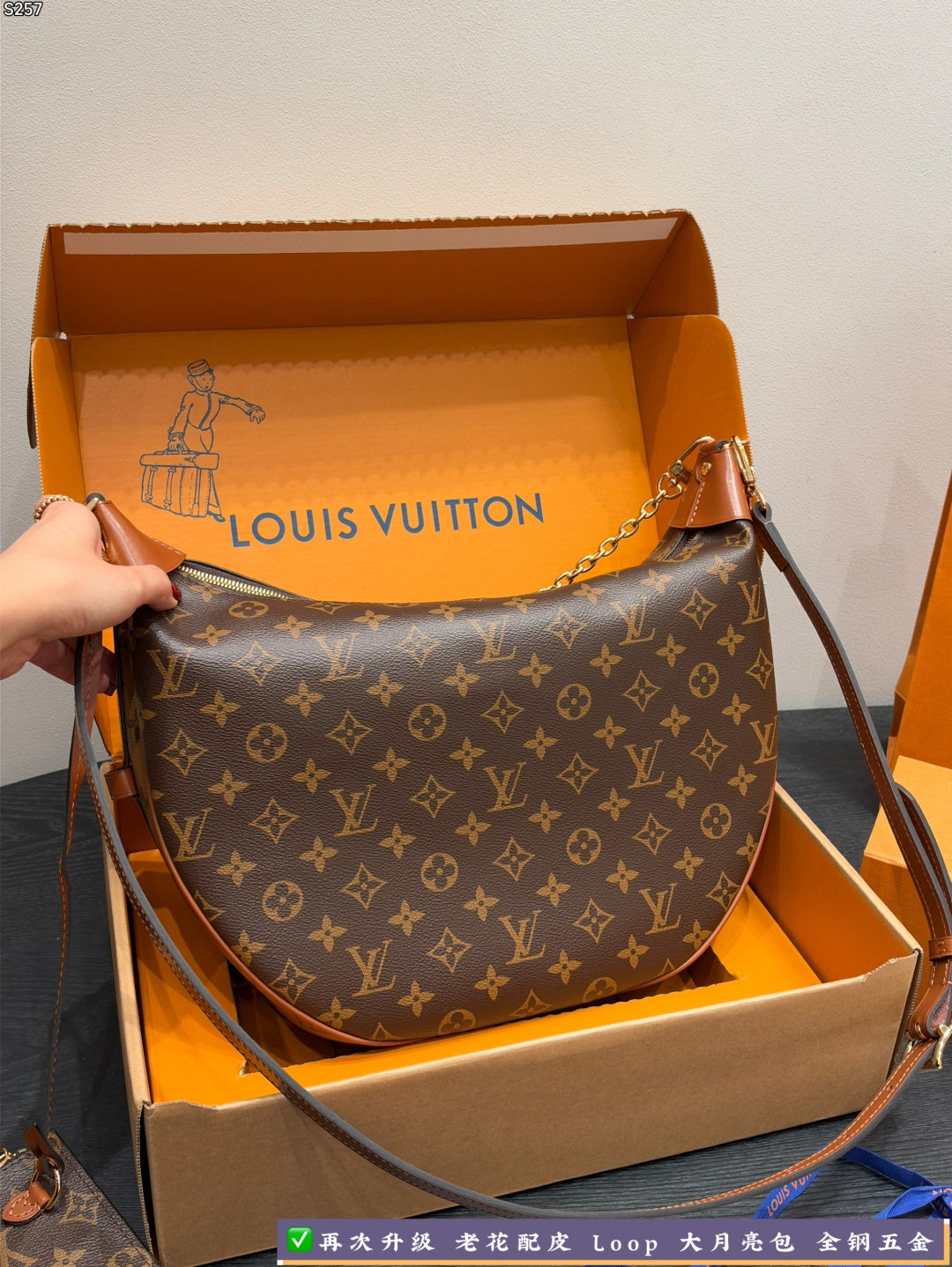 M46311|LV Loop Hobo