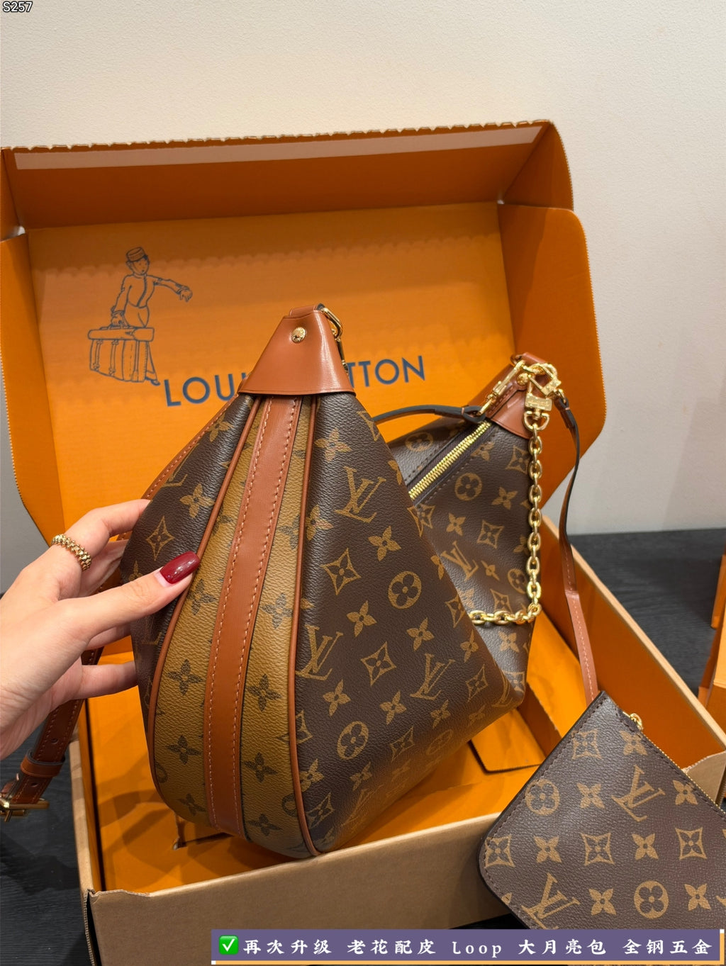 M46311|LV Loop Hobo