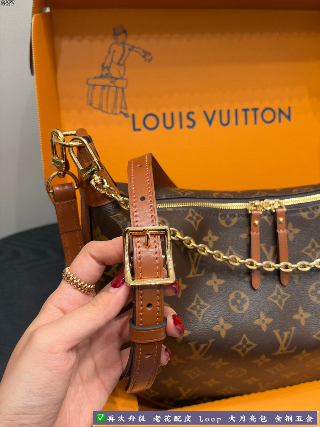 M46311|LV Loop Hobo