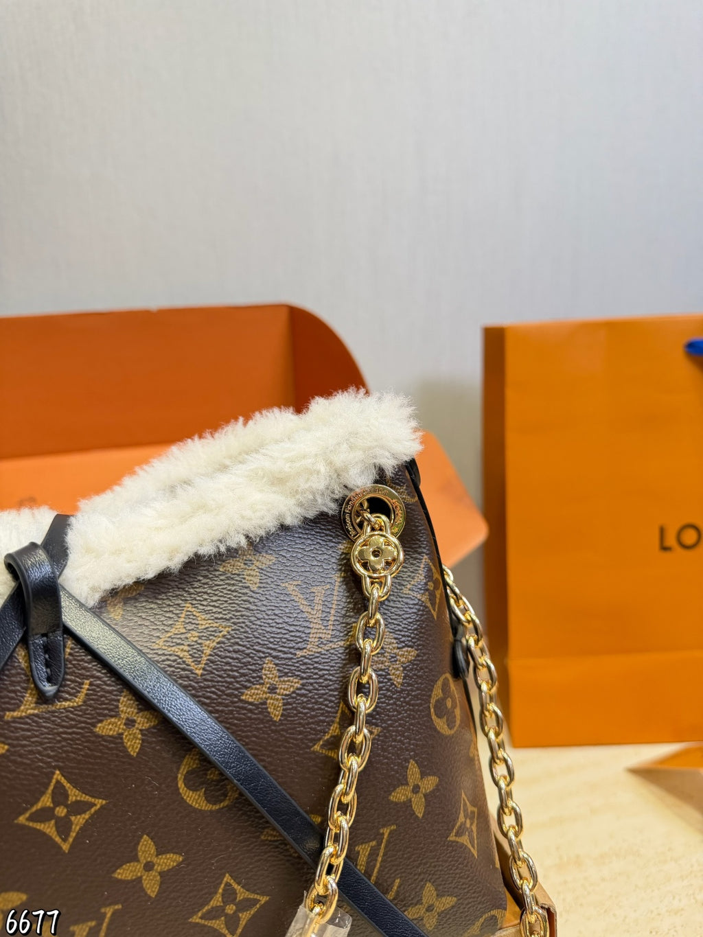 M26568|LV Ski CarryAll BB