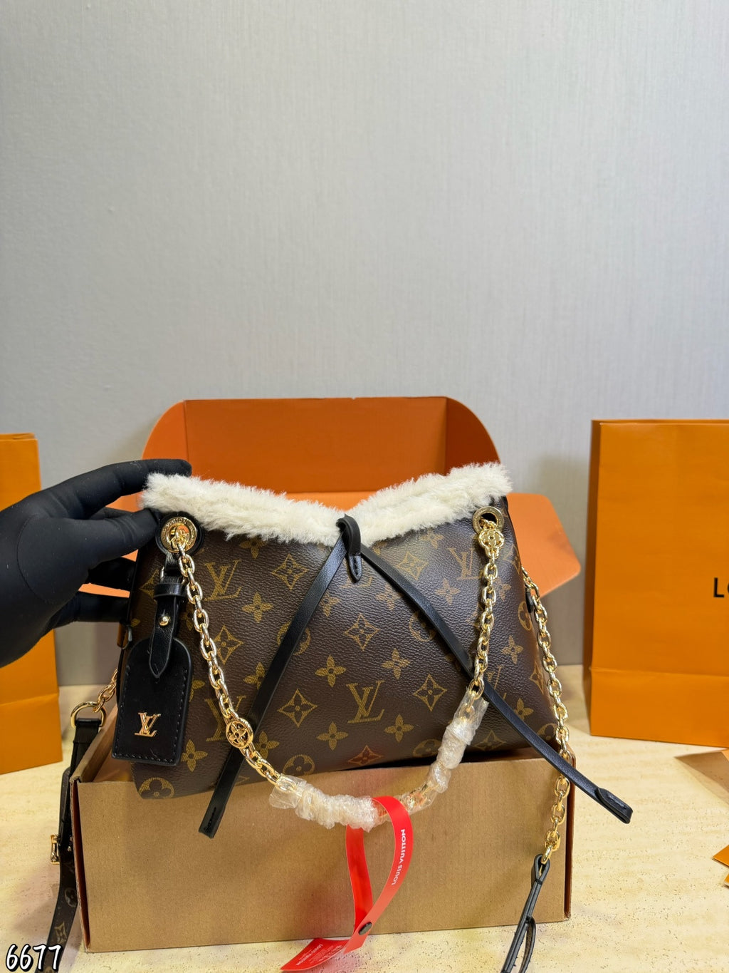 M26568|LV Ski CarryAll BB