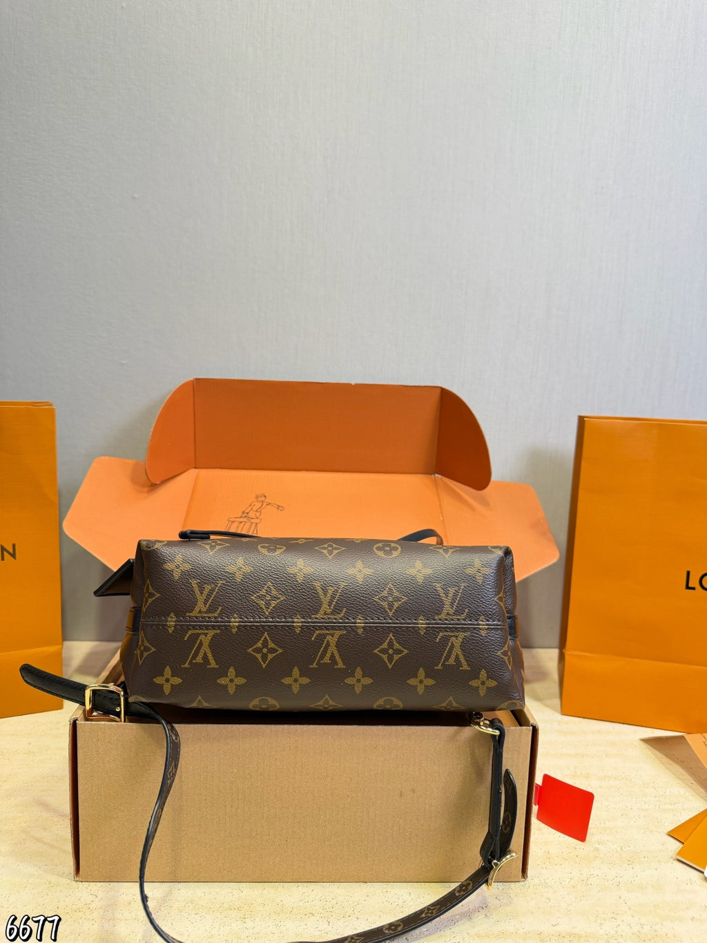 M26568|LV Ski CarryAll BB